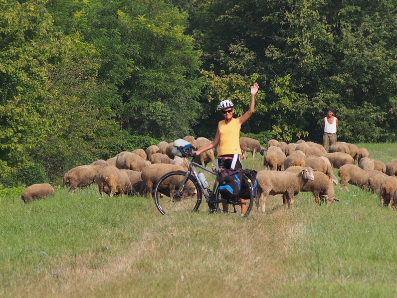 route au bord du danube en hongrie.JPG