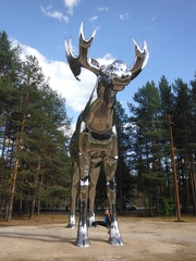 DSCF3748